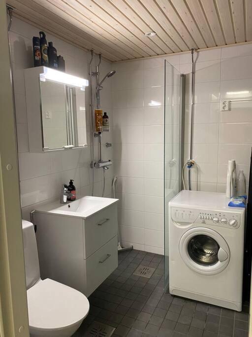 Cozy Studio In The City Center Rovaniemi Bagian luar foto