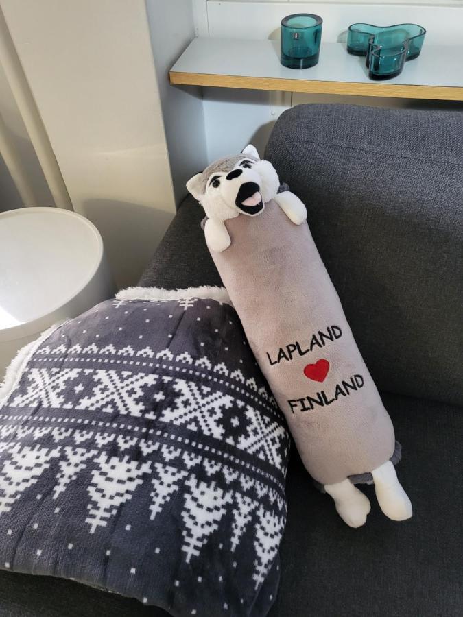 Cozy Studio In The City Center Rovaniemi Bagian luar foto
